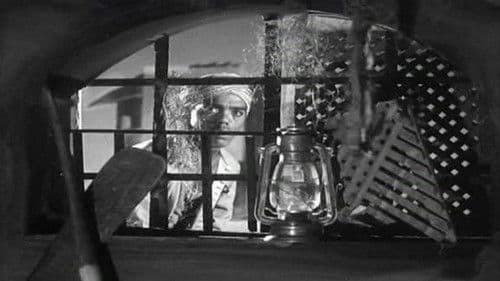 ابن حميدو Bild 2