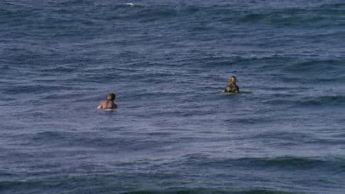 Psychic Migrations Bild 6