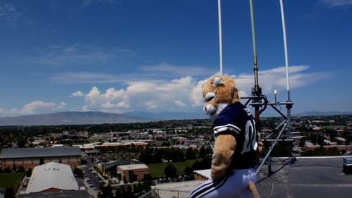 Cosmo: The Quest Bild 1