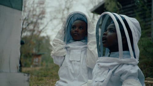 The Boys and the Bees Bild 1