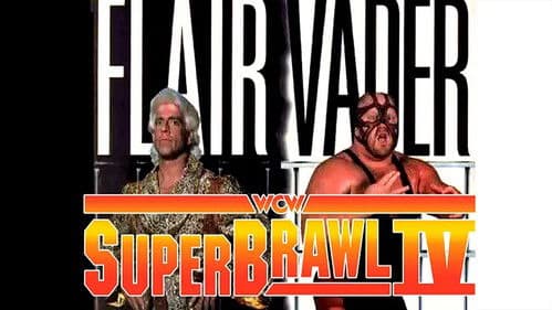 WCW SuperBrawl IV Bild 2