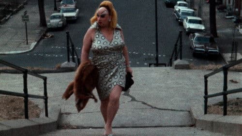 Pink Flamingos Bild 7