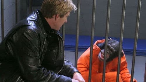 Funky Monkey - Ein Affe in geheimer Mission Bild 1