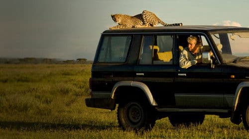 Kampf der Raubkatzen - Löwe gegen Gepard Bild 3