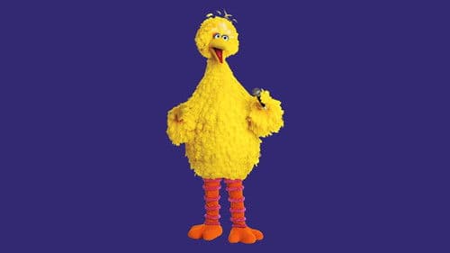 Sesame Street: Big Bird Sings! Bild 1