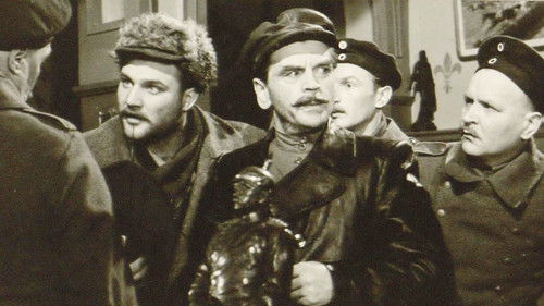 Ignotas grįžo namo Bild 1