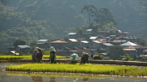 Walang Rape sa Bontok Bild 1