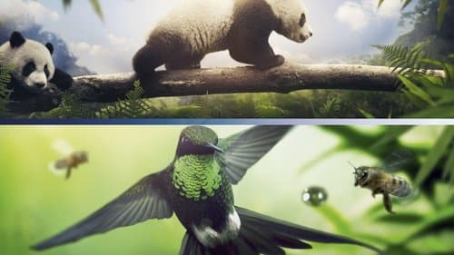 Unsere Erde 2 Bild 6