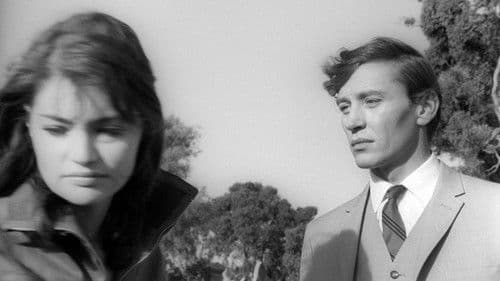 Two Thousand Weeks Bild 1