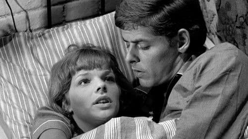 Jensen længe leve! Bild 4