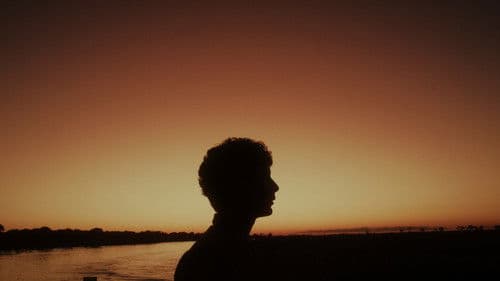 Filhos do Litoral Central Bild 2