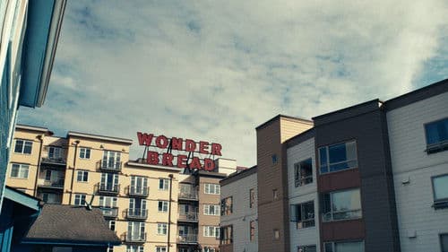 Jimi Could Have Fallen from the Sky Bild 5