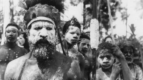 Guns Germs & Steel Bild 2