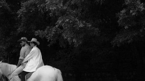 只是一次偶然的旅行 Bild 4