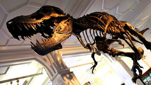 How to Build a Dinosaur Bild 1