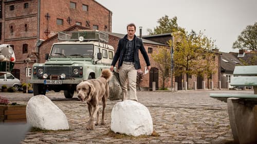 Nord bei Nordwest Bild 4