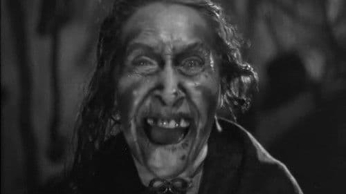 Sh! The Octopus Bild 4