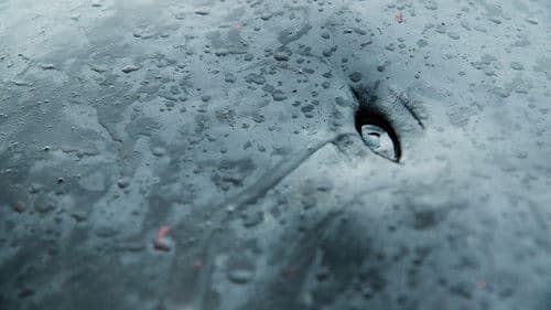 A Taste of Whale Bild 3