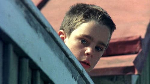 Mein Leben als Hund Bild 5