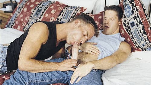 Aim to Please Bild 1