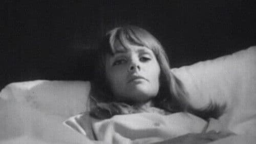 Viagem ao Fim do Mundo Bild 1