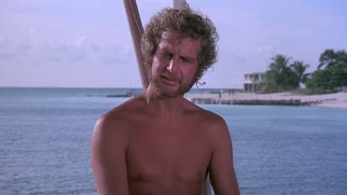 Tintorera - Meeresungeheuer greifen an Bild 3