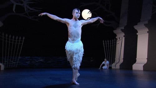 Swan Lake - Schwanensee - Matthew Bourne Bild 1
