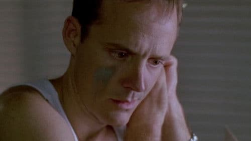 Finding North Bild 3