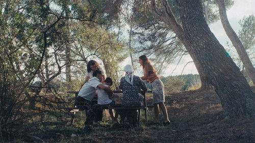 Nach der Sonne Bild 7