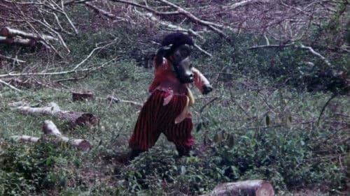 The Rare Blue Apes of Cannibal Isle Bild 5