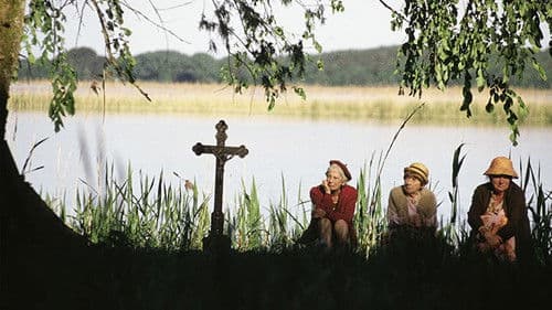 Jetzt oder nie - Zeit ist Geld! Bild 1