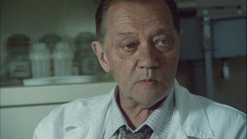 Heimat, süße Heimat Bild 4