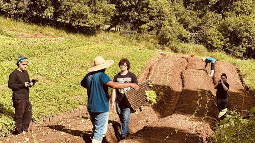 Terças, Sábados, Domingos Bild 1