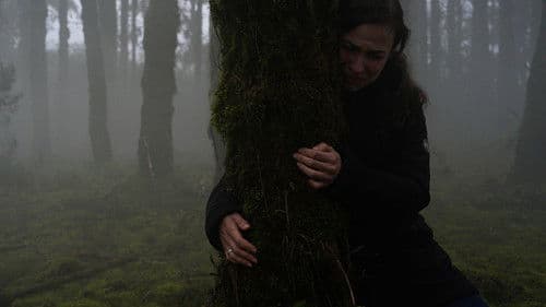 Llanto Maldito Bild 3