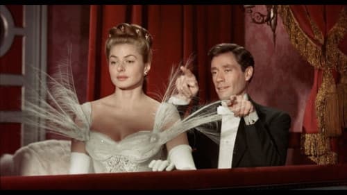 Weiße Margeriten Bild 2