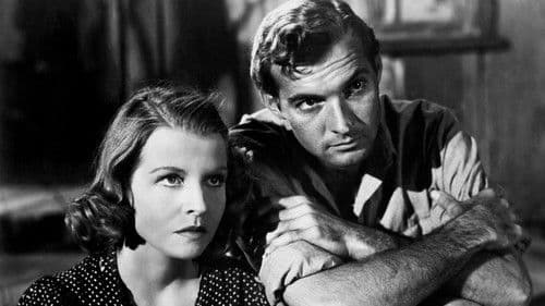 Der Mann aus dem Süden Bild 5