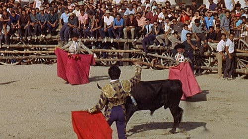 Augenblick der Wahrheit Bild 3