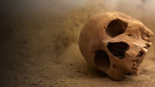 Die verschollenen Pharaonen Bild 5