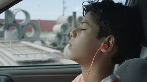 A Felicidade das Coisas Bild 5