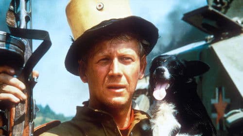 Die Galgenvögel Bild 4