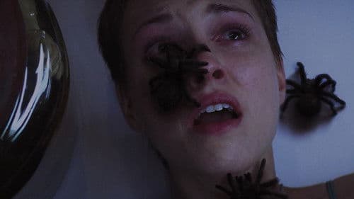 The Collection - The Collector 2 Bild 8