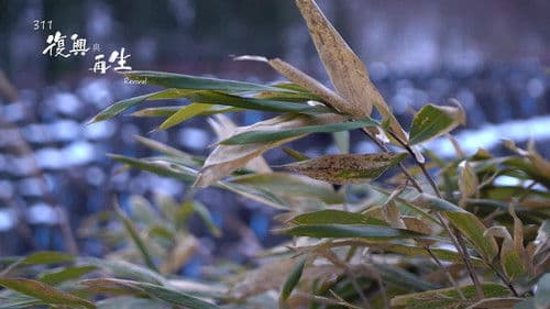 311復興與再生 Bild 1