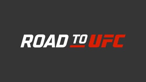 Road to UFC Bild 1