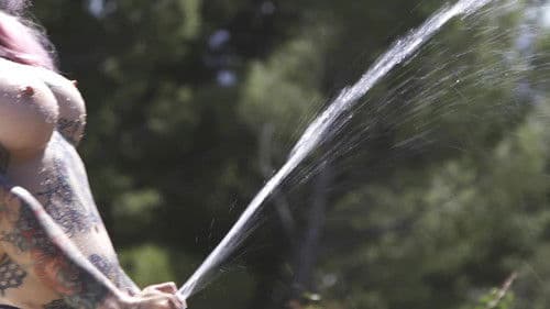 Curves for Days 2 Bild 4