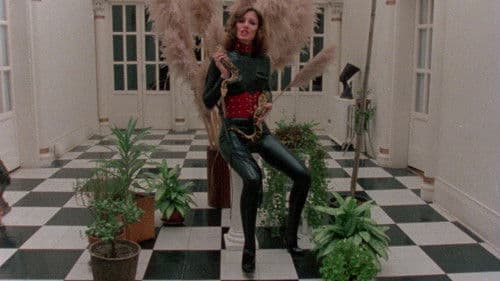 All Night Long Bild 7