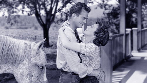 I'd Climb the Highest Mountain Bild 2