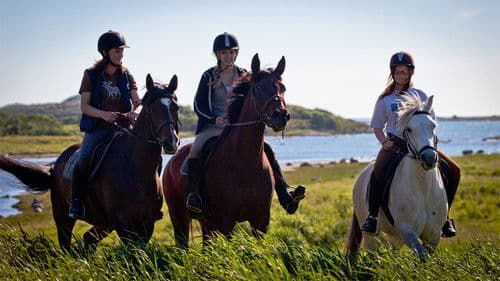 Sommer mit Kehilan Bild 1