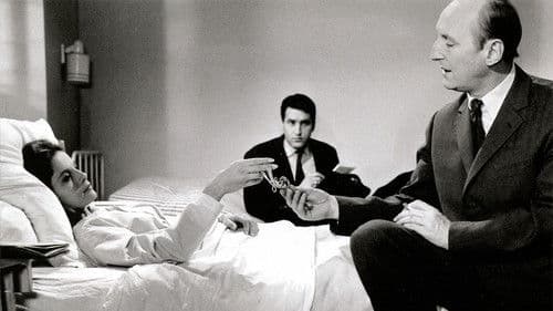 Les Bonnes Causes Bild 5