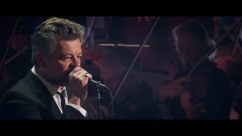 Benjamin Biolay Symphonique Bild 1