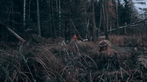 Извод: Ведьмина топь Bild 1